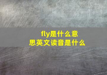 fly是什么意思英文读音是什么