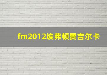 fm2012埃弗顿贾吉尔卡