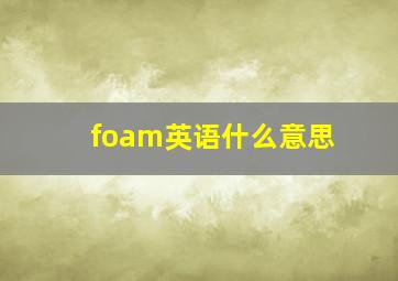 foam英语什么意思