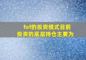 fof的投资模式目前投资的底层持仓主要为