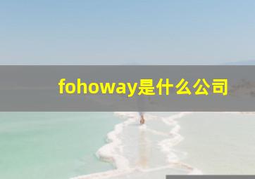 fohoway是什么公司