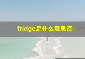 fridge是什么意思译