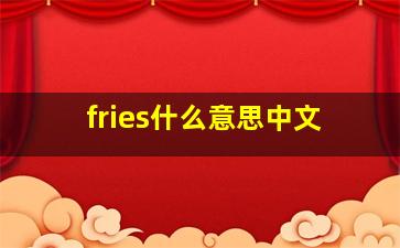 fries什么意思中文