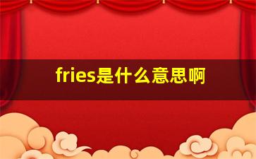 fries是什么意思啊