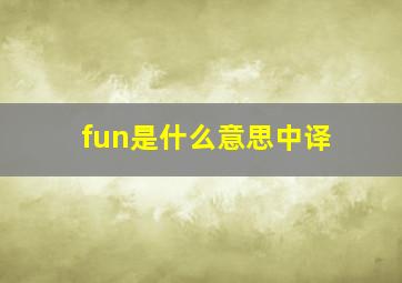 fun是什么意思中译