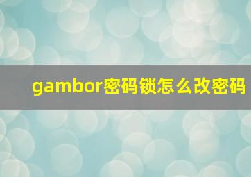 gambor密码锁怎么改密码