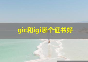 gic和igi哪个证书好