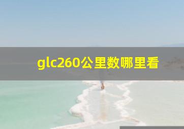 glc260公里数哪里看