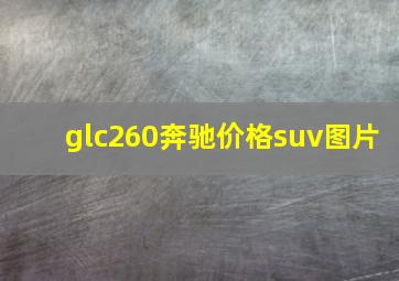 glc260奔驰价格suv图片