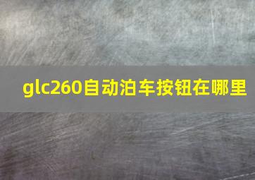 glc260自动泊车按钮在哪里