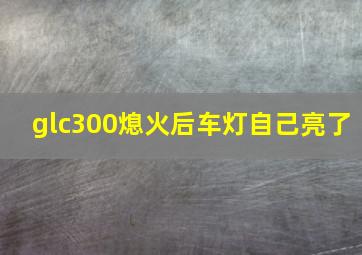 glc300熄火后车灯自己亮了