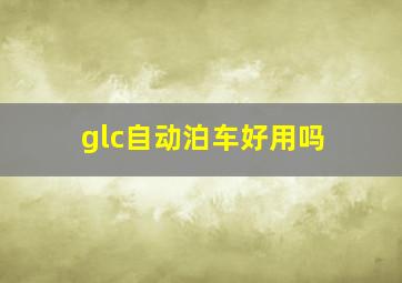 glc自动泊车好用吗