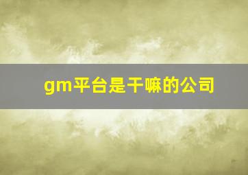 gm平台是干嘛的公司