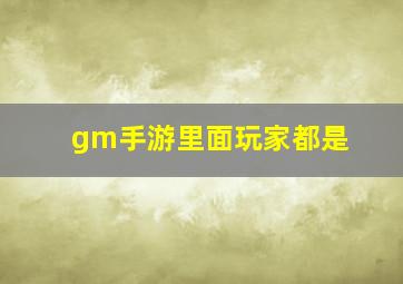 gm手游里面玩家都是