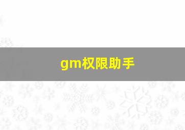 gm权限助手