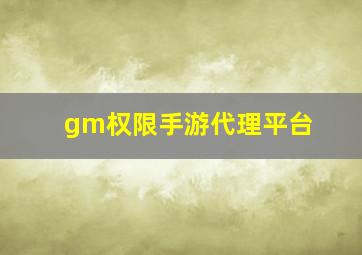 gm权限手游代理平台