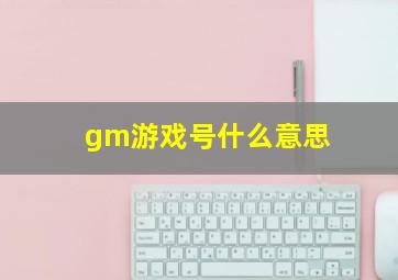 gm游戏号什么意思