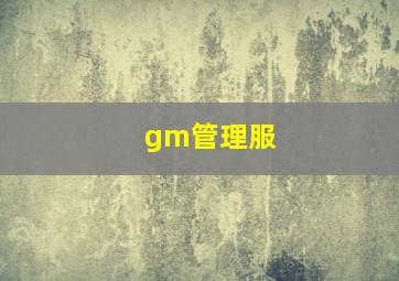 gm管理服