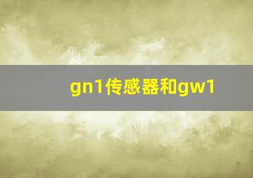 gn1传感器和gw1