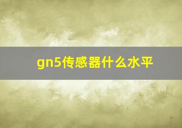 gn5传感器什么水平