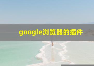 google浏览器的插件