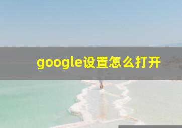 google设置怎么打开