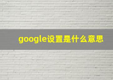 google设置是什么意思