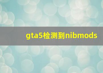 gta5检测到nibmods