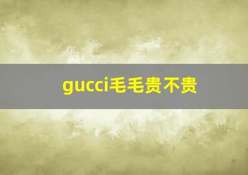 gucci毛毛贵不贵