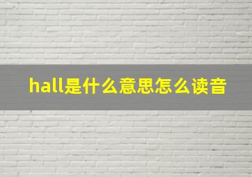 hall是什么意思怎么读音