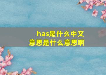 has是什么中文意思是什么意思啊