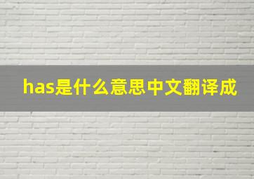 has是什么意思中文翻译成