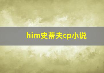 him史蒂夫cp小说