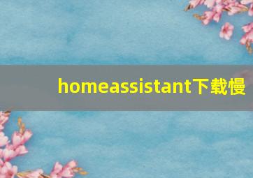 homeassistant下载慢