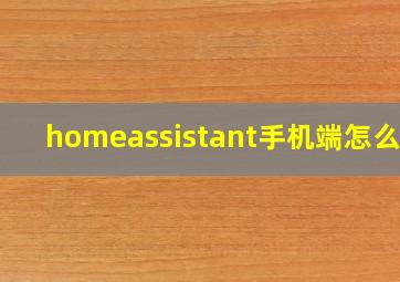 homeassistant手机端怎么用