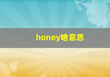 honey啥意思