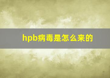 hpb病毒是怎么来的