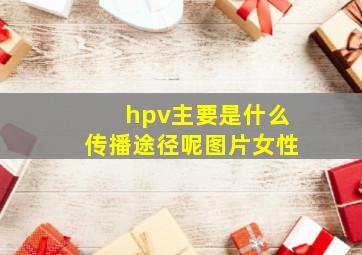 hpv主要是什么传播途径呢图片女性