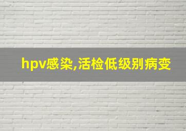 hpv感染,活检低级别病变