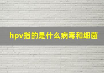 hpv指的是什么病毒和细菌