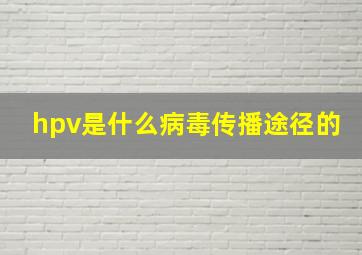 hpv是什么病毒传播途径的