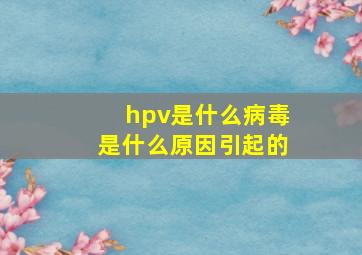 hpv是什么病毒是什么原因引起的