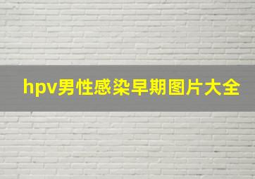 hpv男性感染早期图片大全