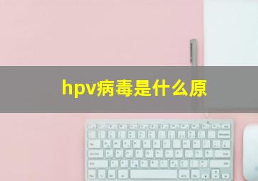 hpv病毒是什么原