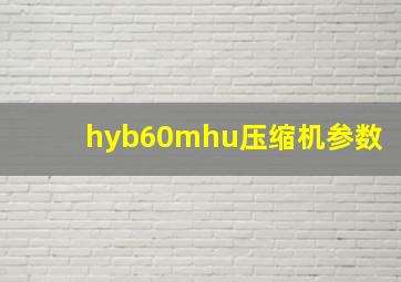 hyb60mhu压缩机参数