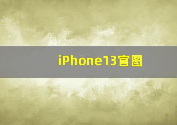 iPhone13官图