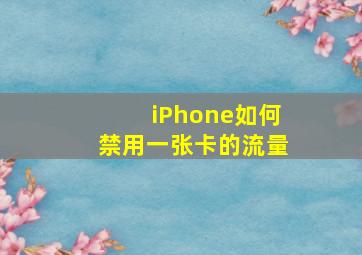 iPhone如何禁用一张卡的流量