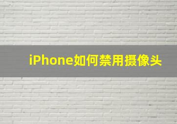 iPhone如何禁用摄像头