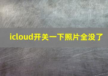 icloud开关一下照片全没了