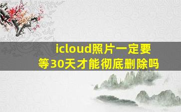 icloud照片一定要等30天才能彻底删除吗